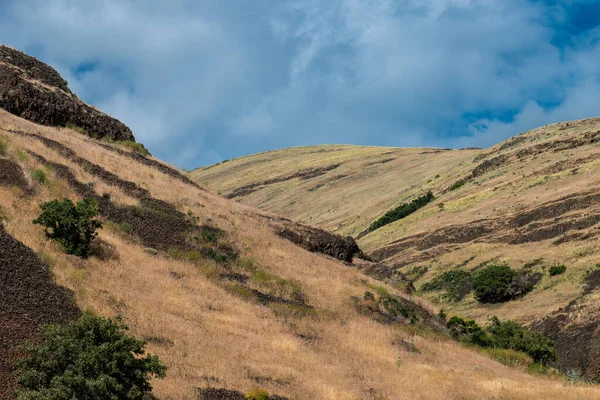 Hill Country Snake River Eastern Washington — Stock Photo, Image