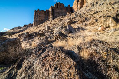 Kuzey Oregon 'daki Kum Taşı oluşumları