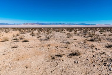 Yazın Amerikan Çöl Ovası, ABD