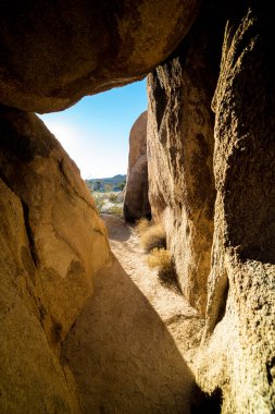 Kaliforniya Joshua Tree Ulusal Parkı 'ndaki Kaya oluşumları