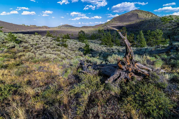 Zerbrochene Spitze Den Kratern Des Mondes National Monument Idaho — Stockfoto