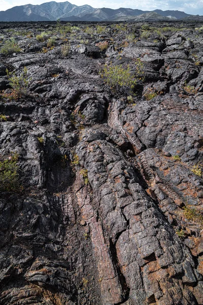 Área Moldes Árboles Monumento Nacional Cráteres Luna Idaho —  Fotos de Stock