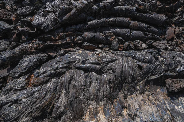 Área Moldes Árvores Craters Moon National Monument Idaho — Fotografia de Stock