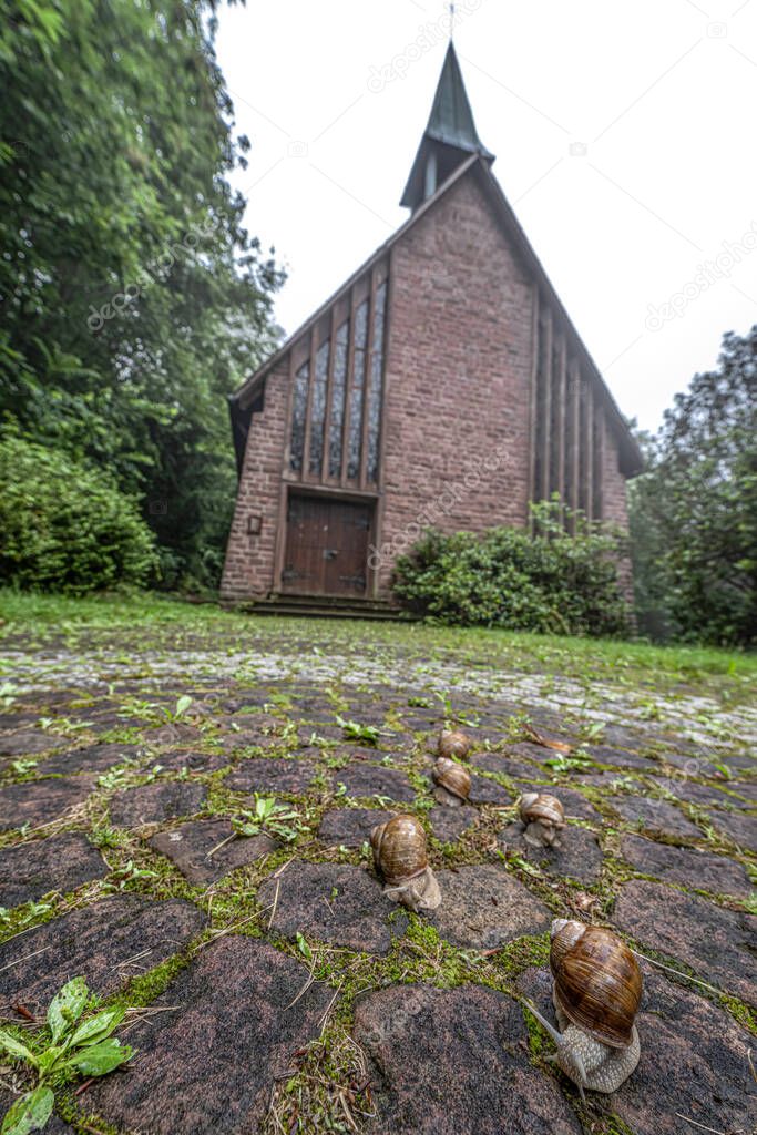 Bernharduskapelle and Snails in Baden-Baden, Germany