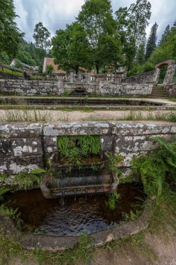 Almanya 'daki Kara Orman' daki Alerheiligen Manastırı Yıkıntısı