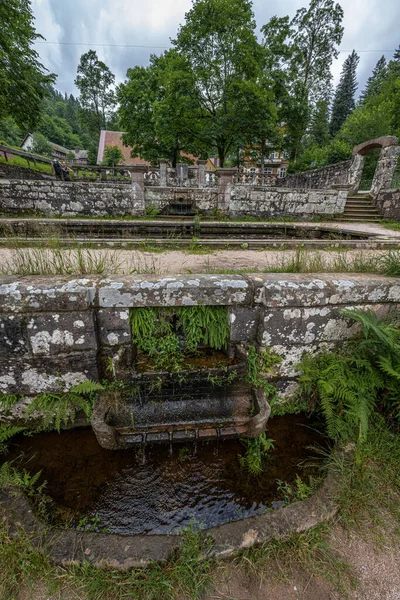 Almanya 'daki Kara Orman' daki Alerheiligen Manastırı Yıkıntısı