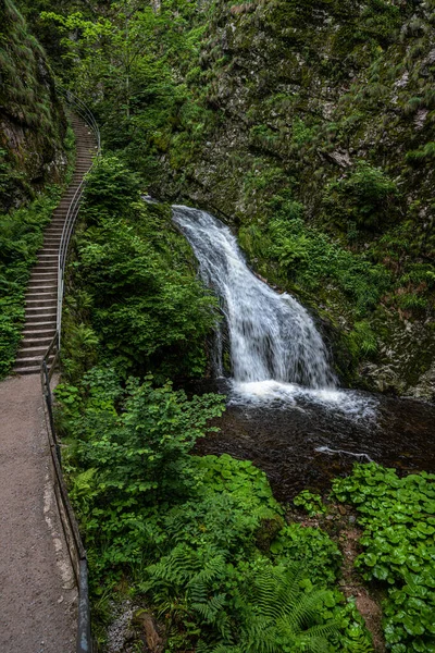 Cachoeiras Lierbach Floresta Negra Alemanha — Fotografia de Stock