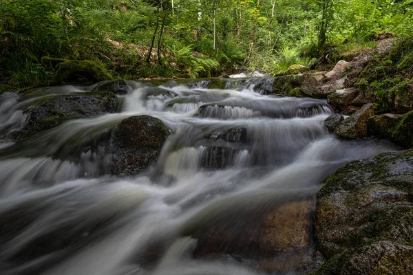 Lierbach Schwarzwald Deutschland — Stockfoto