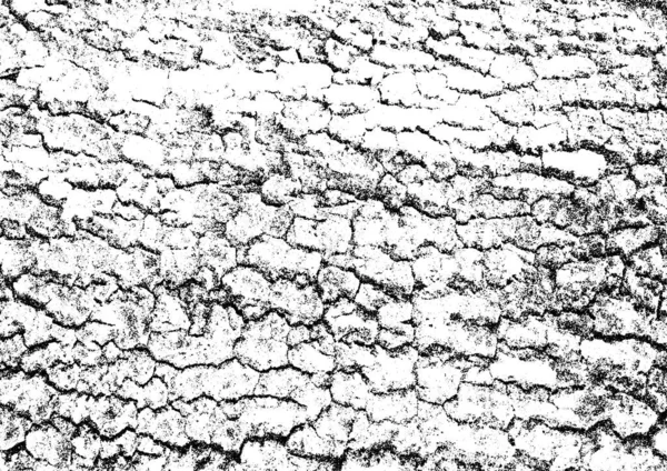 Текстура Векторного Бедствия Сухая Кора Дерева Накладывается Ваш Дизайн — стоковый вектор