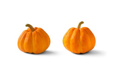 Beyaz arkaplanda iki balkabağı.