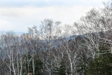 Japonya 'daki dağları gezen gezgin..