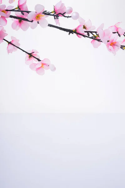 Design Ano Novo Chinês Com Flor Cereja Fundo Branco — Fotografia de Stock