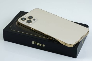 iPhone 12 Pro Max in Gold kutusunun yanında