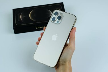 iPhone 12 Pro Max in Gold kutusunun yanında