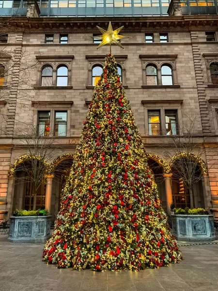 Kerstboom Tegenover Het Lotte New York Palace Hotel New York — Stockfoto