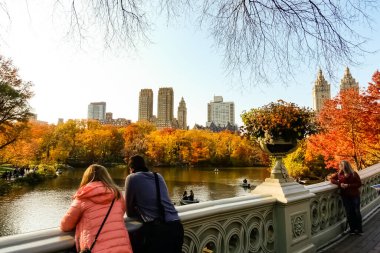 Central Park, New York 'ta sonbahar mevsiminin doruk noktasında. Sarı, kırmızı yapraklar ve ağaçlar sonbahar yapraklarının zirvesinde renk değiştiriyor..
