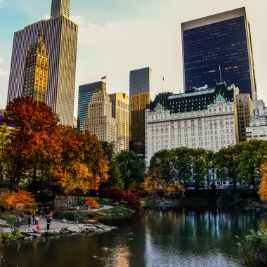 Central Park, New York 'ta sonbahar mevsiminin doruk noktasında. Sarı, kırmızı yapraklar ve ağaçlar sonbahar yapraklarının zirvesinde renk değiştiriyor..