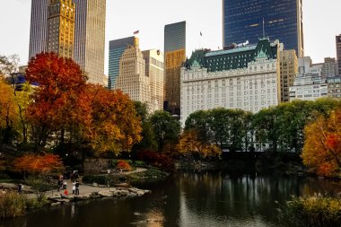 Central Park, New York 'ta sonbahar mevsiminin doruk noktasında. Sarı, kırmızı yapraklar ve ağaçlar sonbahar yapraklarının zirvesinde renk değiştiriyor..