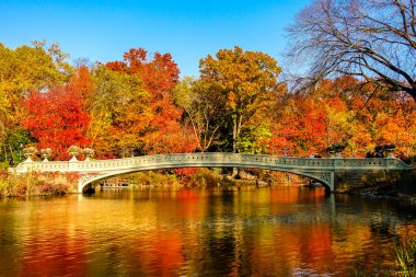 Central Park, New York 'ta sonbahar mevsiminin doruk noktasında. Sarı, kırmızı yapraklar ve ağaçlar sonbahar yapraklarının zirvesinde renk değiştiriyor..