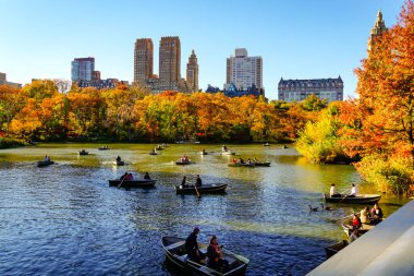 Central Park, New York 'ta sonbahar mevsiminin doruk noktasında. Sarı, kırmızı yapraklar ve ağaçlar sonbahar yapraklarının zirvesinde renk değiştiriyor..