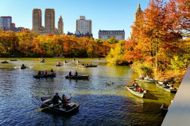Central Park, New York 'ta sonbahar mevsiminin doruk noktasında. Sarı, kırmızı yapraklar ve ağaçlar sonbahar yapraklarının zirvesinde renk değiştiriyor..