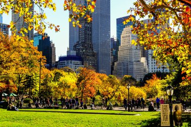 Central Park, New York 'ta sonbahar mevsiminin doruk noktasında. Sarı, kırmızı yapraklar ve ağaçlar sonbahar yapraklarının zirvesinde renk değiştiriyor..
