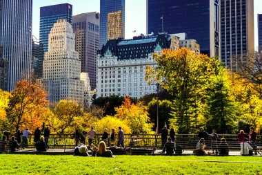 Central Park, New York 'ta sonbahar mevsiminin doruk noktasında. Sarı, kırmızı yapraklar ve ağaçlar sonbahar yapraklarının zirvesinde renk değiştiriyor..