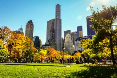 Central Park, New York 'ta sonbahar mevsiminin doruk noktasında. Sarı, kırmızı yapraklar ve ağaçlar sonbahar yapraklarının zirvesinde renk değiştiriyor..