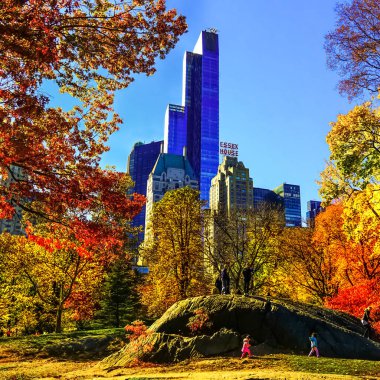 Central Park, New York 'ta sonbahar mevsiminin doruk noktasında. Sarı, kırmızı yapraklar ve ağaçlar sonbahar yapraklarının zirvesinde renk değiştiriyor..