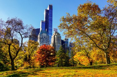 Central Park, New York 'ta sonbahar mevsiminin doruk noktasında. Sarı, kırmızı yapraklar ve ağaçlar sonbahar yapraklarının zirvesinde renk değiştiriyor..