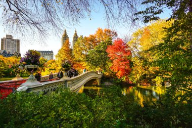 Central Park, New York 'ta sonbahar mevsiminin doruk noktasında. Sarı, kırmızı yapraklar ve ağaçlar sonbahar yapraklarının zirvesinde renk değiştiriyor..