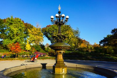 Central Park, New York 'ta sonbahar mevsiminin doruk noktasında. Sarı, kırmızı yapraklar ve ağaçlar sonbahar yapraklarının zirvesinde renk değiştiriyor..