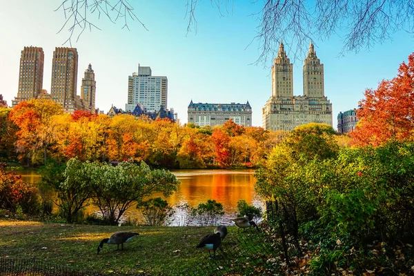 Central Park Pico Temporada Otoño Ciudad Nueva York Con Hojas — Foto de Stock