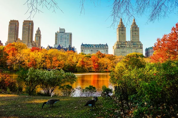 Central Park Het Hoogtepunt Van Het Herfstseizoen New York City — Stockfoto