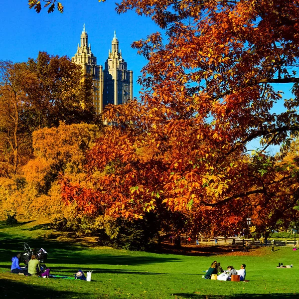 Central Park Het Hoogtepunt Van Het Herfstseizoen New York City — Stockfoto