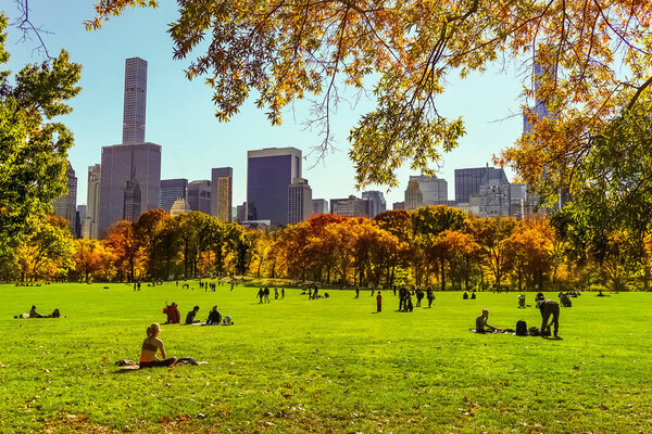 Central Park at the peak of the Autumn season in New York City with yellow and red leaves and trees changing colors at the peak of fall foliage.
