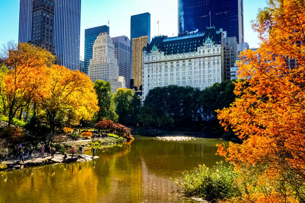Central Park at the peak of the Autumn season in New York City with yellow and red leaves and trees changing colors at the peak of fall foliage.