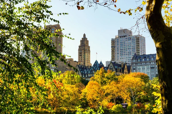Центральний Парк Піку Осіннього Сезону Нью Йорку Жовтим Червоним Листям — стокове фото