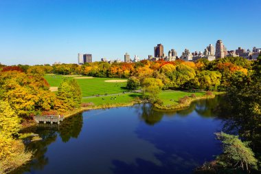 Central Park, New York 'ta sonbahar mevsiminin doruk noktasında. Sarı, kırmızı yapraklar ve ağaçlar sonbahar yapraklarının zirvesinde renk değiştiriyor..