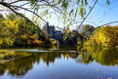 Central Park, New York 'ta sonbahar mevsiminin doruk noktasında. Sarı, kırmızı yapraklar ve ağaçlar sonbahar yapraklarının zirvesinde renk değiştiriyor..