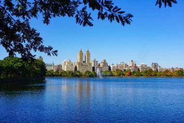 Central Park, New York 'ta sonbahar mevsiminin doruk noktasında. Sarı, kırmızı yapraklar ve ağaçlar sonbahar yapraklarının zirvesinde renk değiştiriyor..