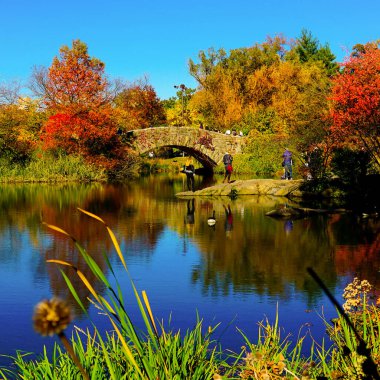 Central Park, New York 'ta sonbahar mevsiminin doruk noktasında. Sarı, kırmızı yapraklar ve ağaçlar sonbahar yapraklarının zirvesinde renk değiştiriyor..