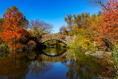 Central Park, New York 'ta sonbahar mevsiminin doruk noktasında. Sarı, kırmızı yapraklar ve ağaçlar sonbahar yapraklarının zirvesinde renk değiştiriyor..