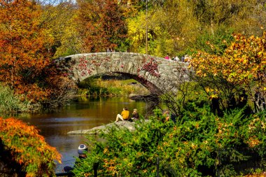 Central Park, New York 'ta sonbahar mevsiminin doruk noktasında. Sarı, kırmızı yapraklar ve ağaçlar sonbahar yapraklarının zirvesinde renk değiştiriyor..