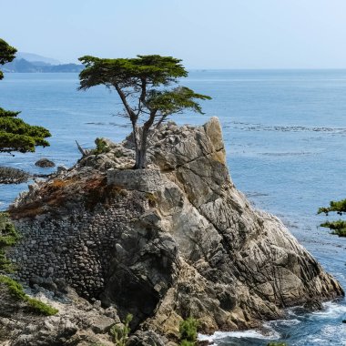 Yalnız Cypress, Kaliforniya, Pebble Beach 'te bulunan bir Monterey selvi ağacıdır. 17 mil boyunca granit bir yamaçta duran ağaç, Batı 'nın simgesidir ve Kuzey Amerika' nın en çok fotoğraflanan ağaçlarından biri olarak adlandırılır..