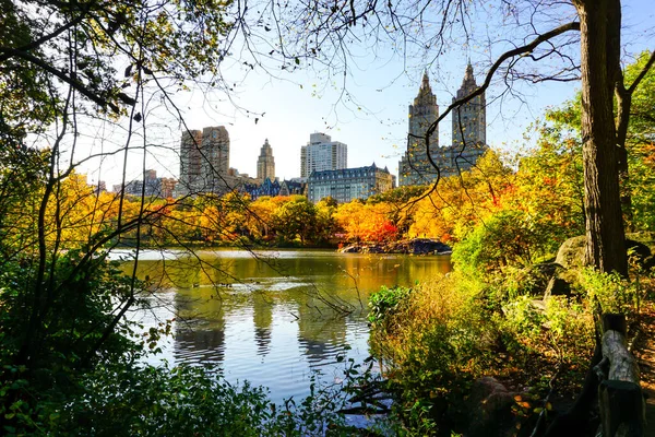 Центральний Парк Піку Осіннього Сезону Нью Йорку Жовтим Червоним Листям — стокове фото