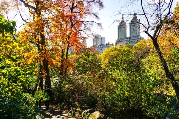 Central Park Het Hoogtepunt Van Het Herfstseizoen New York City — Stockfoto