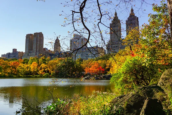 Central Park Het Hoogtepunt Van Het Herfstseizoen New York City — Stockfoto