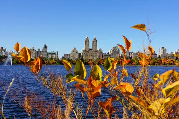 Central Park Het Hoogtepunt Van Het Herfstseizoen New York City — Stockfoto