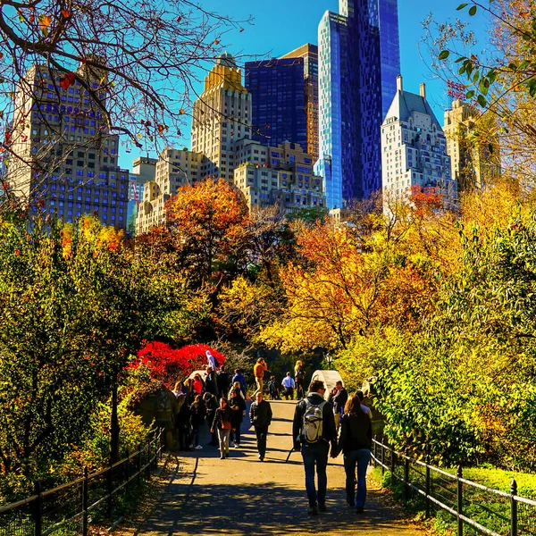 Central Park Culmine Della Stagione Autunnale New York Con Foglie — Foto Stock